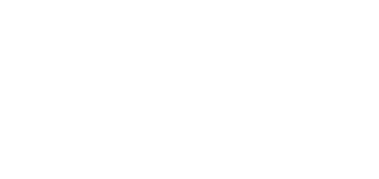 Silver Lining Life Insurance